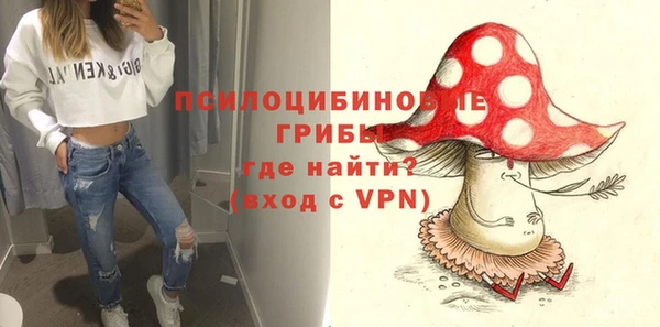 стафф Михайлов