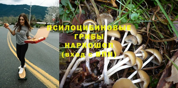 стафф Михайлов