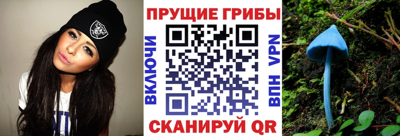 Псилоцибиновые грибы Psilocybine cubensis  даркнет официальный сайт  Топки 