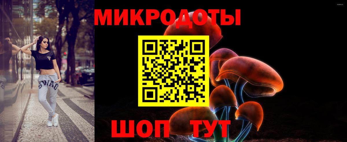 Псилоцибиновые грибы Cubensis Топки
