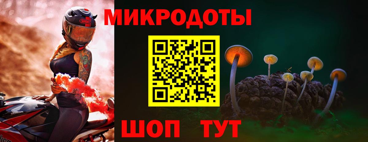 Псилоцибиновые грибы Cubensis  Вход с VPN  Топки  Галлюциногенные грибы MAGIC MUSHROOMS 